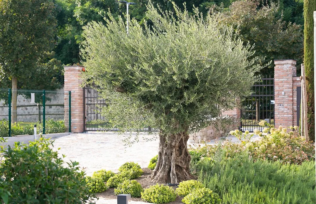 Casa Massaro Todeschini-1