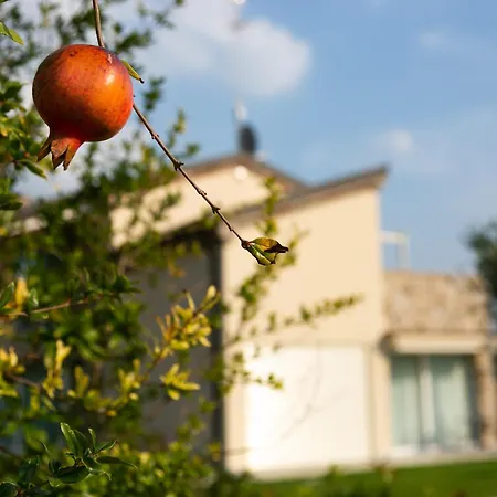 Casa Massaro Todeschini-2